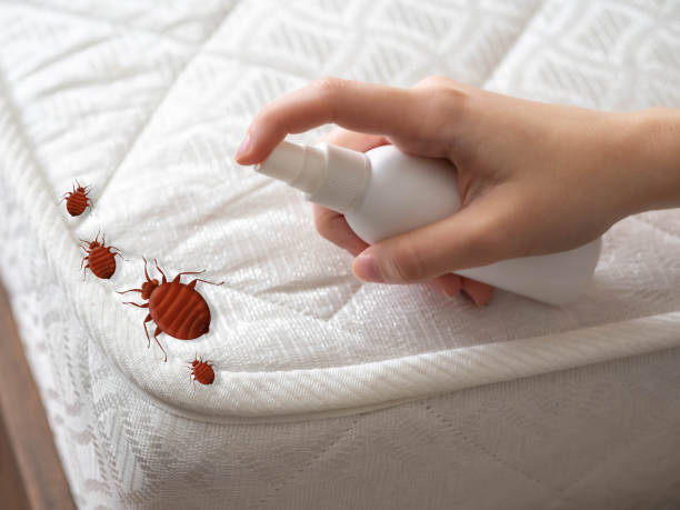 Best Affordable Pest Control Services  in Ashland, OR